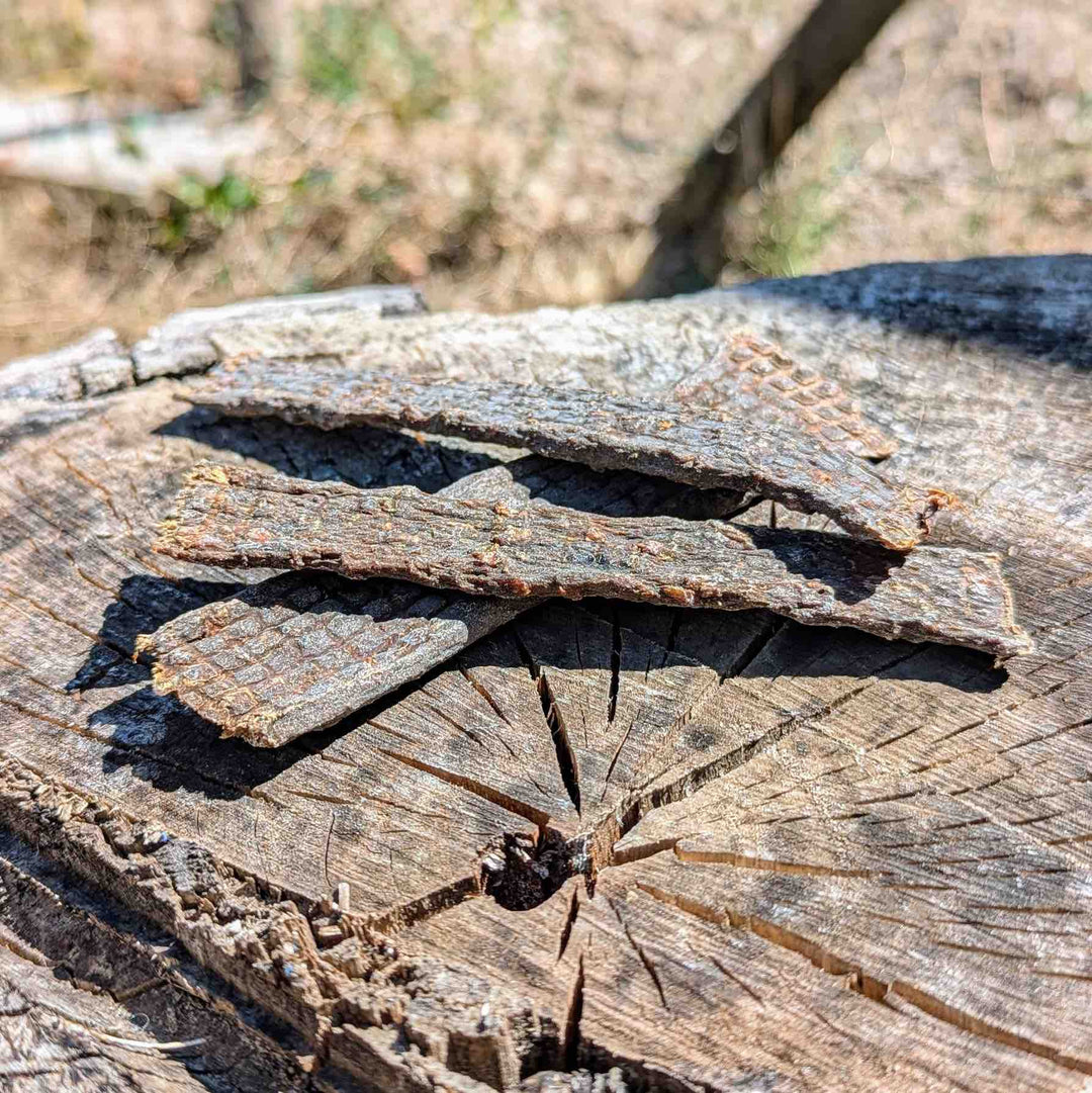 Lanière viande de cerf x15