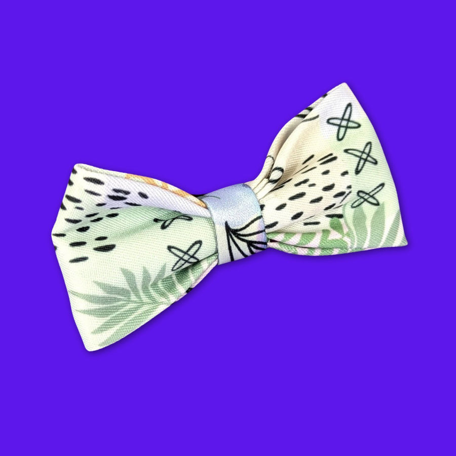 Noeud papillon pour chien de la collection pastel sur fond violet