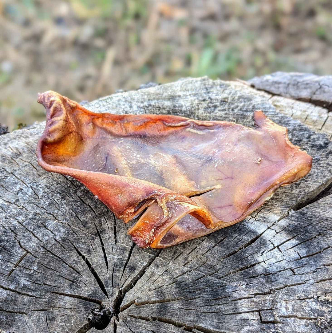 Oreille de porc naturelle x3