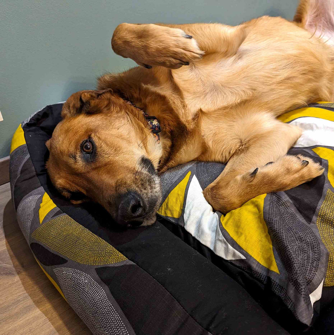 Panier pour chien Elégant