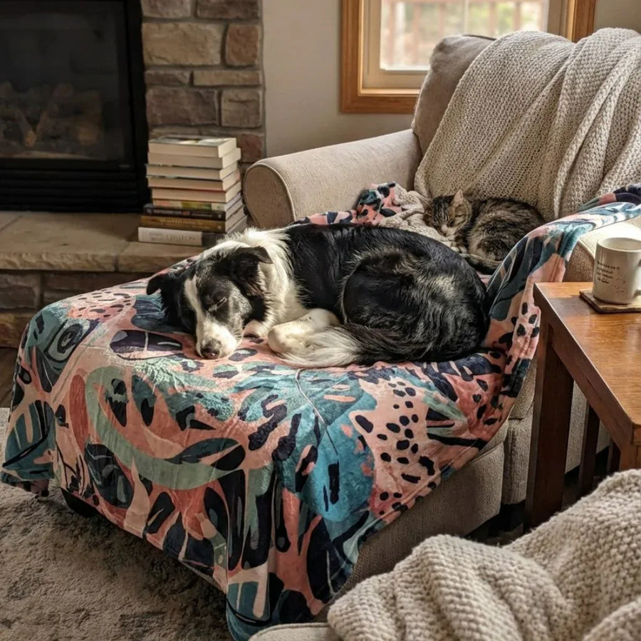 Dans un salon, un chat et un chien dorment paisiblement sur un fauteuil recouvert dâun plaid Savane aux nuances de marron, vert et beige.
