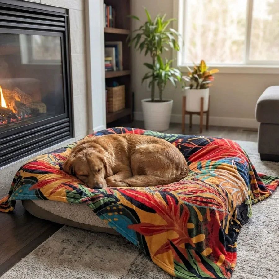 PrĂšs du feu de cheminĂ©e, un labrador marron se repose sur un coussin enveloppĂ© dâun plaid Tropical aux teintes vives et chaleureuses