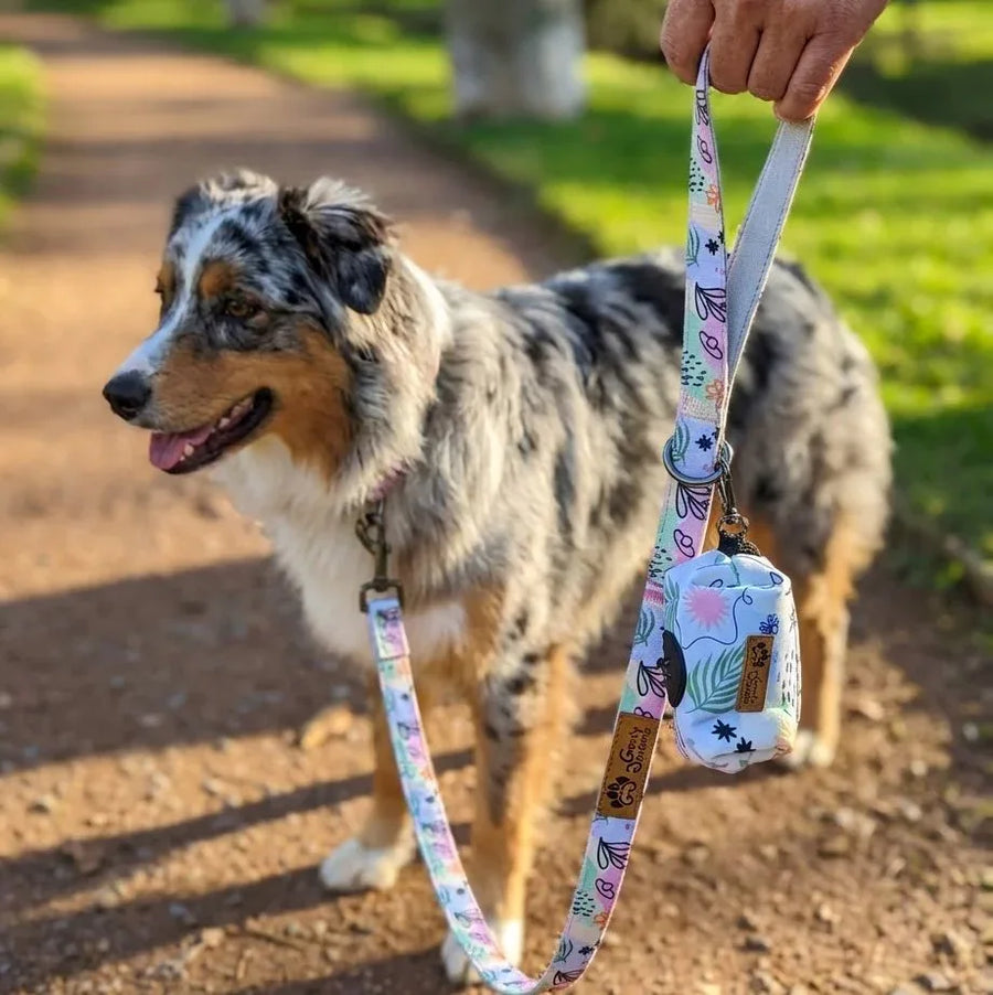 Zoom sur la pochette à sacs à crottes Pastel, attachée à la laisse assortie et au collier, portée par un chien en balade dans le parc