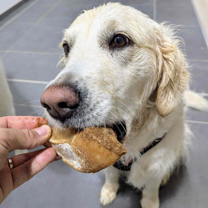 Sabot de boeuf farci x 5