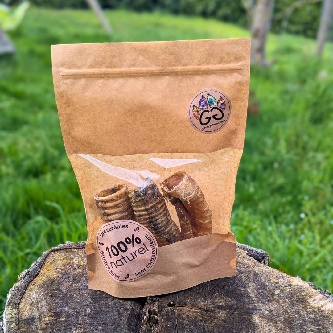 Trachée de boeuf naturelle x3