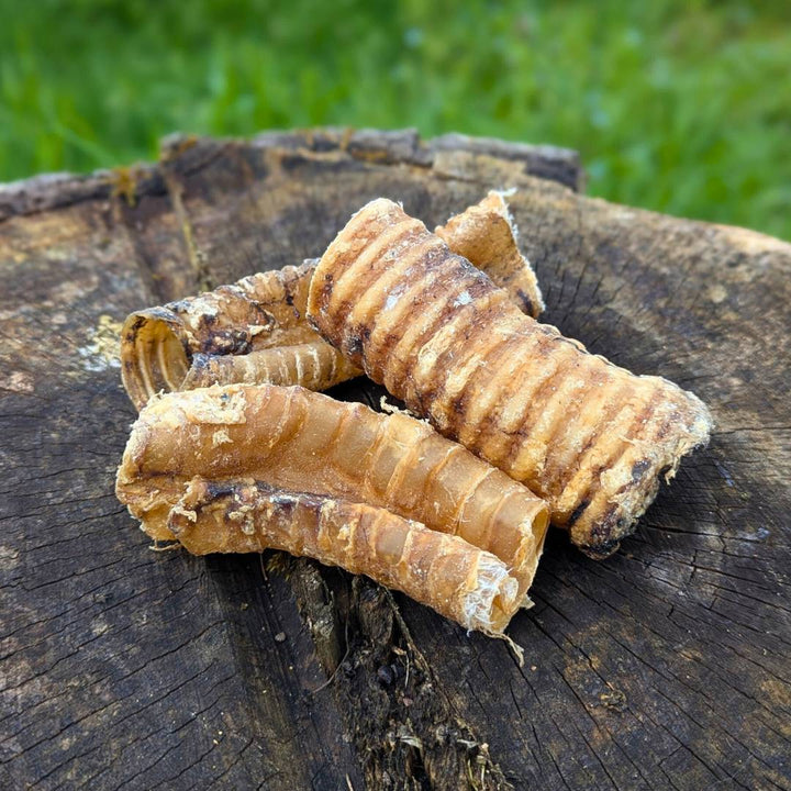 Trachée de boeuf naturelle x3