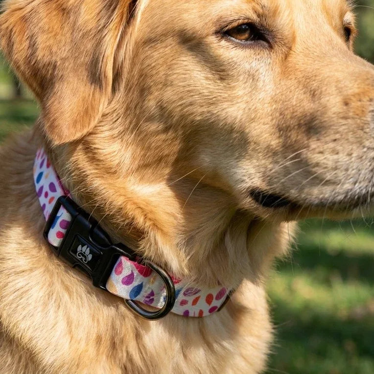 On voit nettement le système de fermeture à clip et l’anneau d’attache du collier Pétales, aux motifs de pétales violet, jaune et orange et fuchsia
