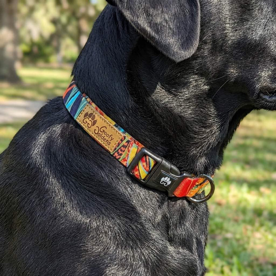 De profil un chien noir porte un collier très coloré Tropical de la marque GoofyGoldens