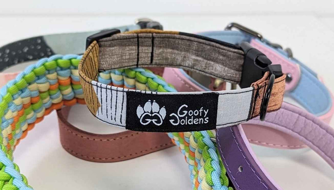 Les différents types de colliers pour chien : Guide complet et bien-être