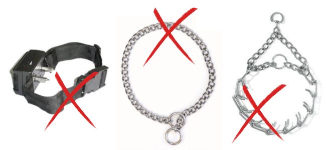 Les colliers pour chiens à proscrire