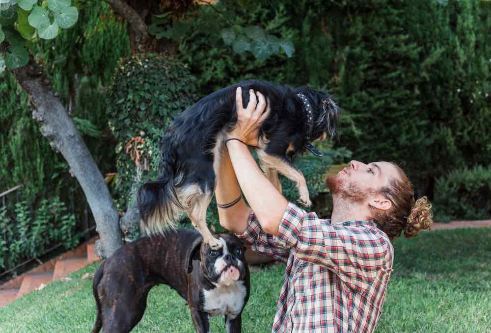 Socialiser votre chiot : pourquoi c’est important et comment le faire correctement ?