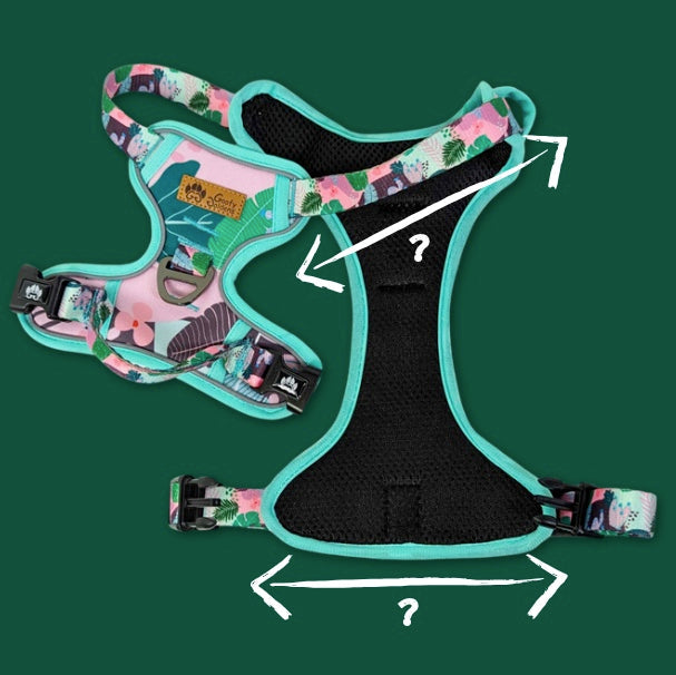 Comment déterminer la taille idéale du harnais pour mon chien ?