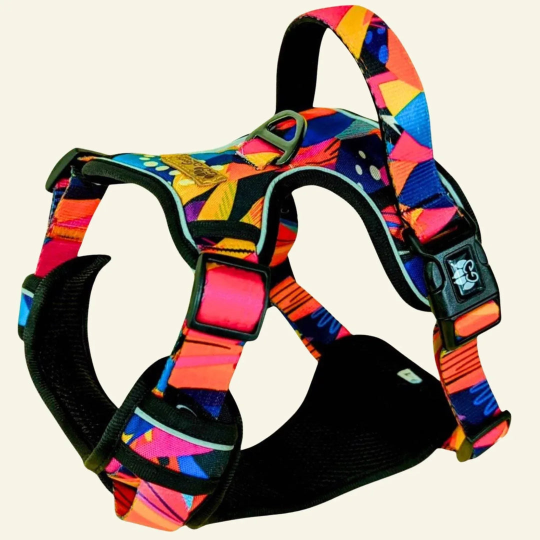 Harnais pour chiens : originaux, confortables et ergonomiques