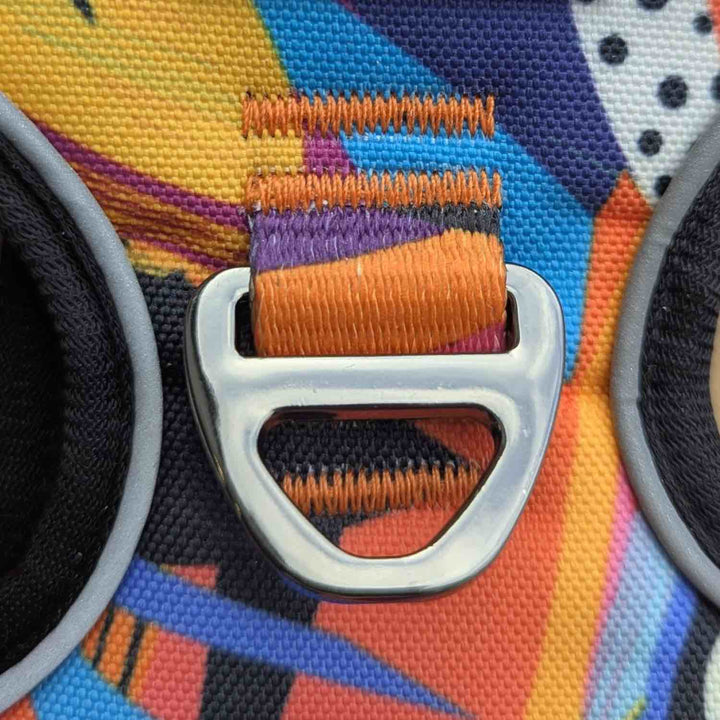 Anneau en D au dos du harnais confort coloré pour chien Panache de chez Goofy Goldens