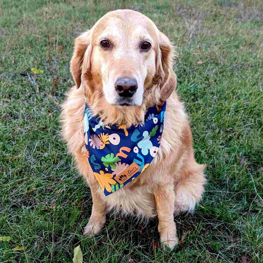 Chien marron assis dans l'herbe et portant le bandana à nouer bleu marine avec motifs colorés de la collection Deep Agua. 