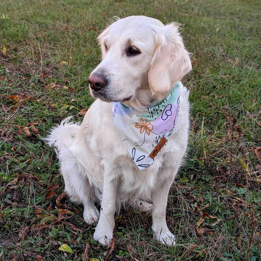 Golden retriever de profil, sur l'herbe, portant le très beau bandana pour chien Pastel aux couleurs jaune rose, vert et bleu. 