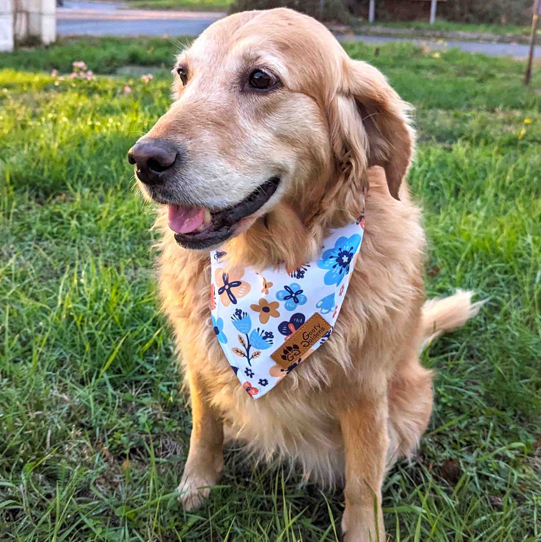 Dog bandana Spring 