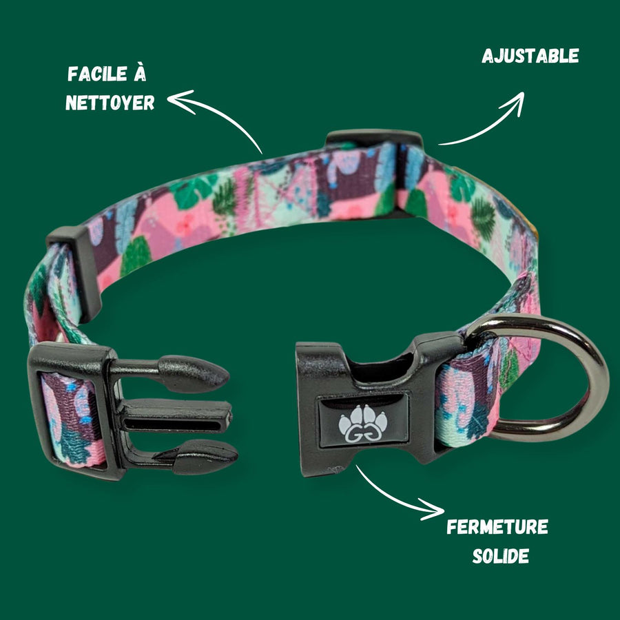 Collier pour toutou Goofy Goldens présenté avec la boucle ouverte. Gamme Cactus sur fond rose et vert.
