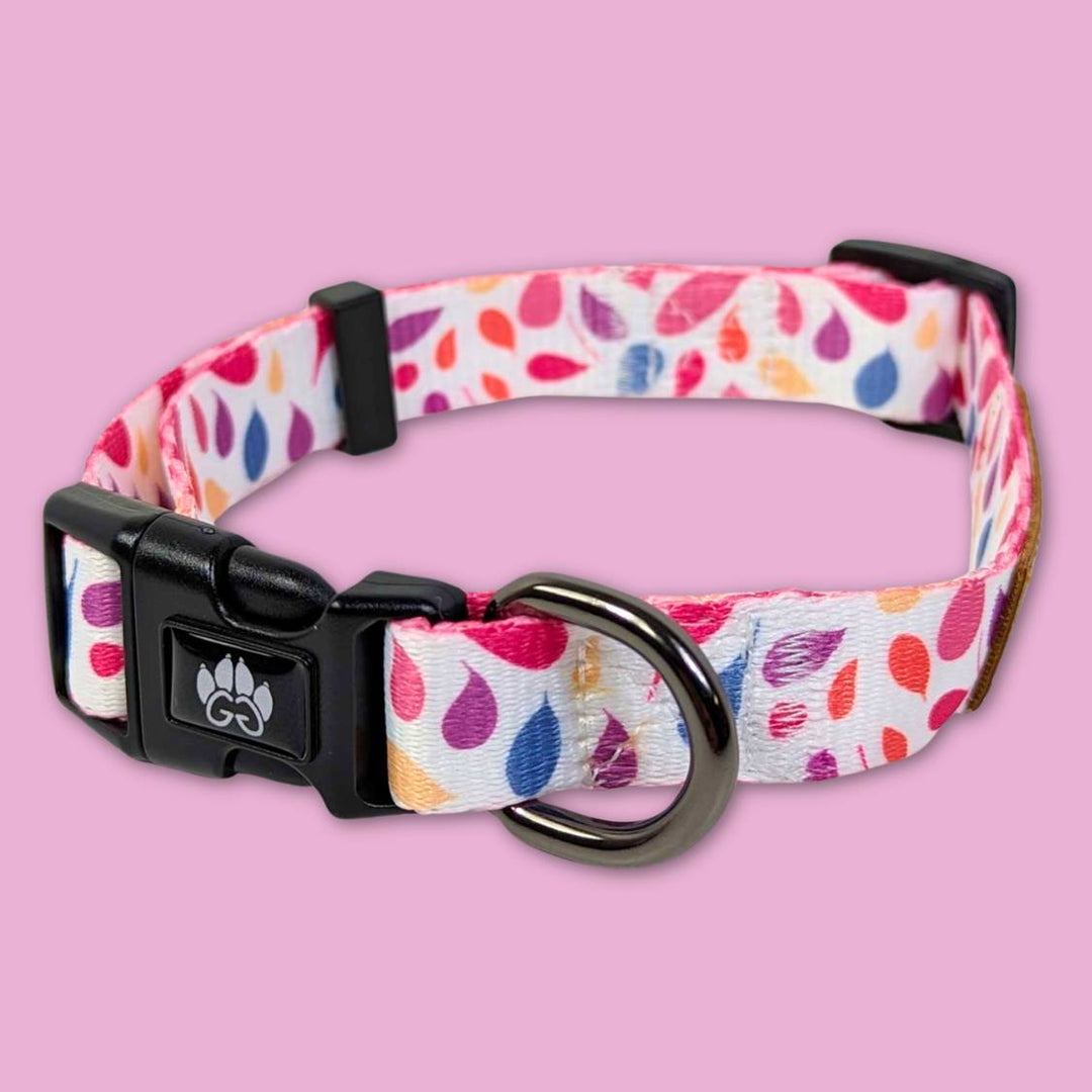 Collier solide et fiable pour chien collection Pétales de la marque Goofy Goldens présenté de face pour montrer la boucle et l'anneau robustes