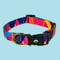 Dog collar Plume