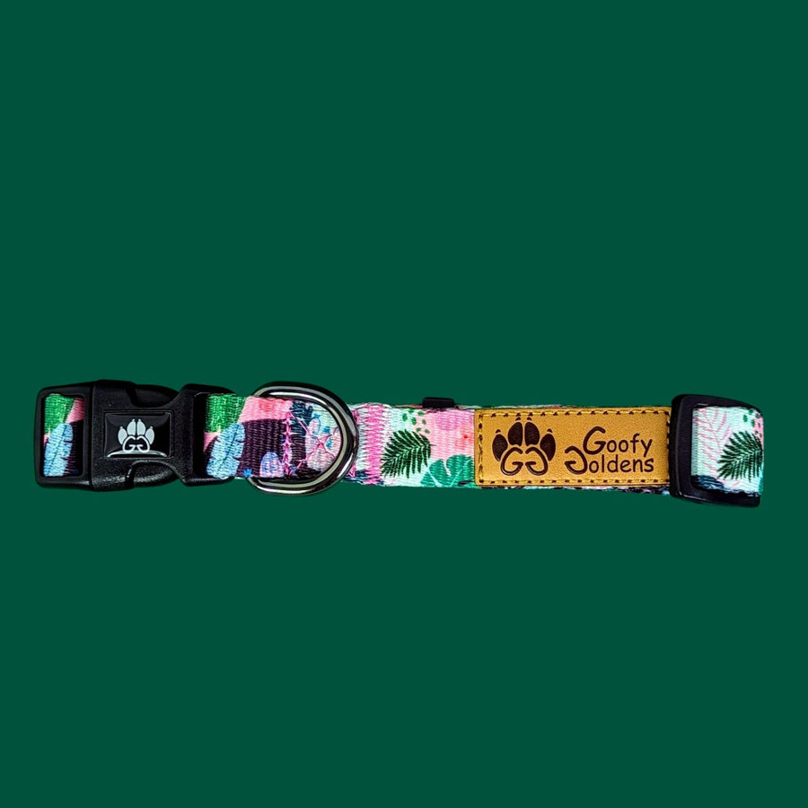 Collier pour chien de la collection Cactus de chez Goofy Goldens. Ce collier solide aux tons rose et vert est présenté de côté