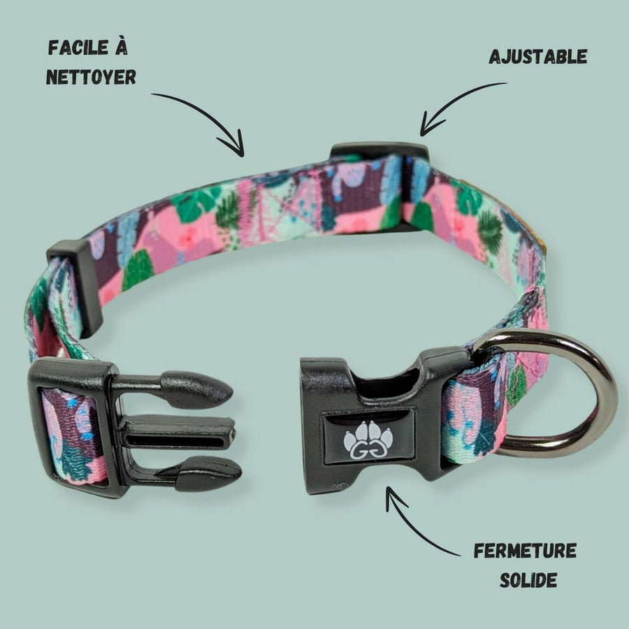 Collier pour toutou Goofy Goldens présenté avec la boucle ouverte. Gamme Cactus sur fond rose et vert.