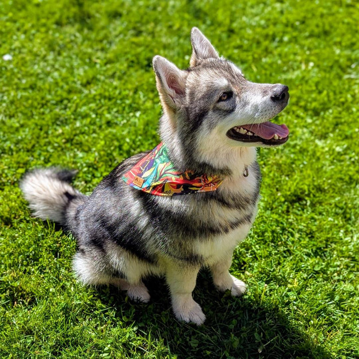 Bandana pour chien Tropical