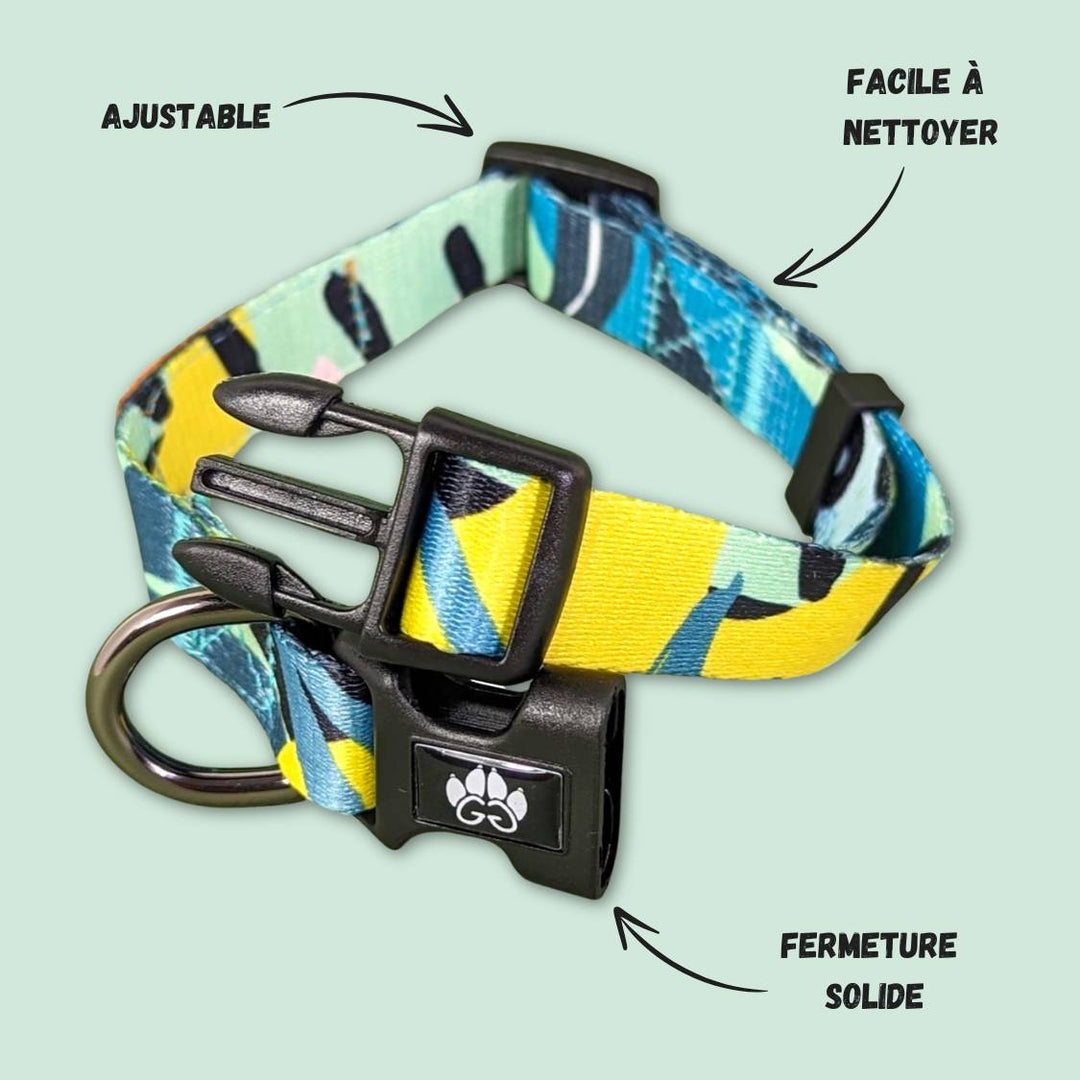 Collier pour chien léger et confortable de la collection récif, collier présenté avec la boucle ouverte