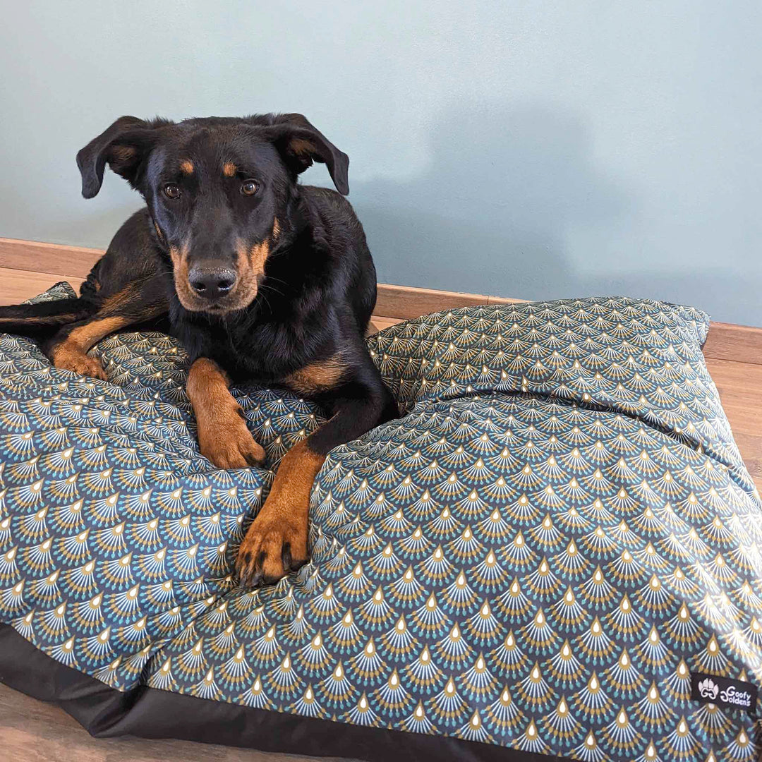 Beauceron couché sur un coussin de la collection Paon, taille XL. On devine un chien à l'ase et bien confortablement installé. 