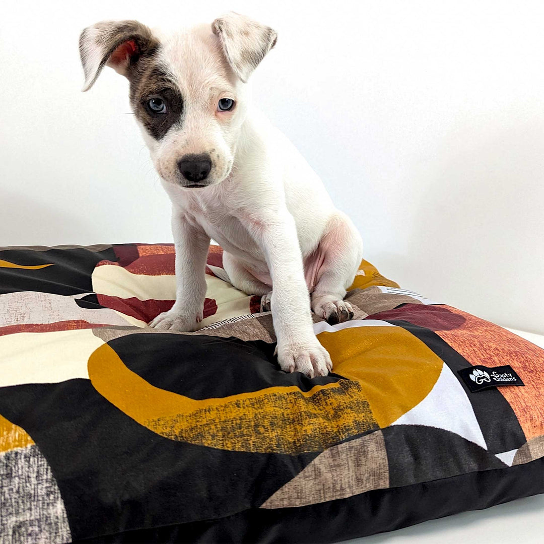 Chiot staffie assis et fixant l'objectif sur un coussin de la marque Goofy Goldens , collection Automne