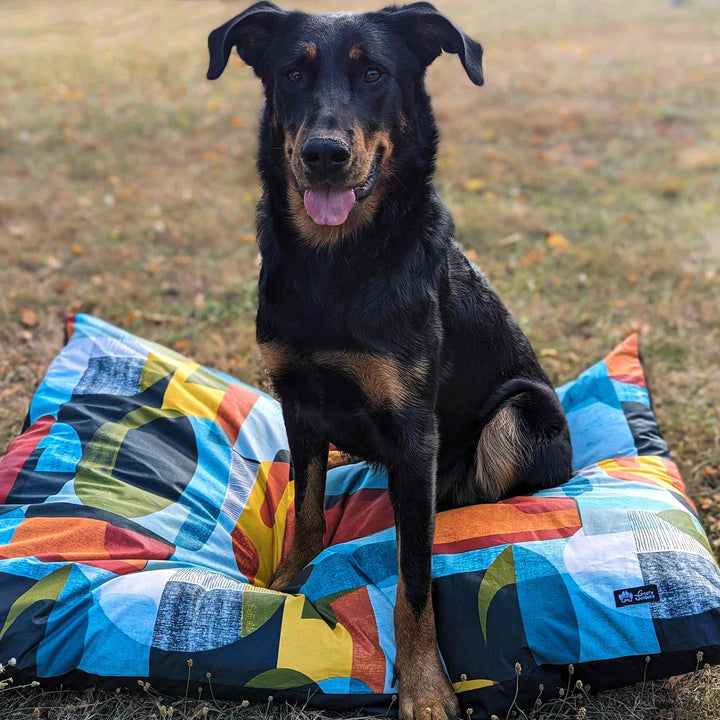 Dog cushion Summer 