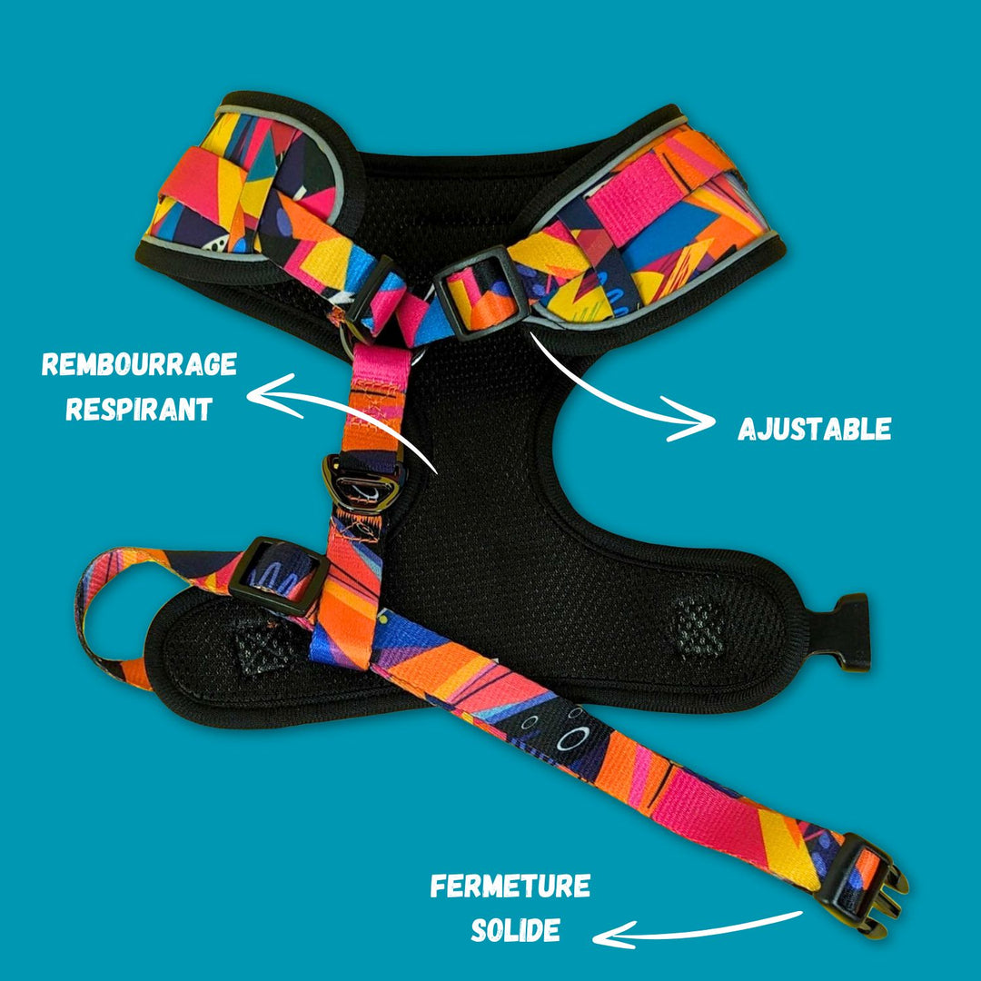 Walk Kit adjustable harness Plume