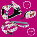 No-pull Y harness walk kit Petals