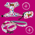 Walk Kit adjustable harness Petals