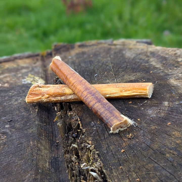 Nerf de boeuf naturel x2