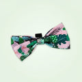 Dog bow tie Cactus