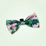 Noeud papillon pour chien de la collection cactus aux couleurs rose, vert et mauve