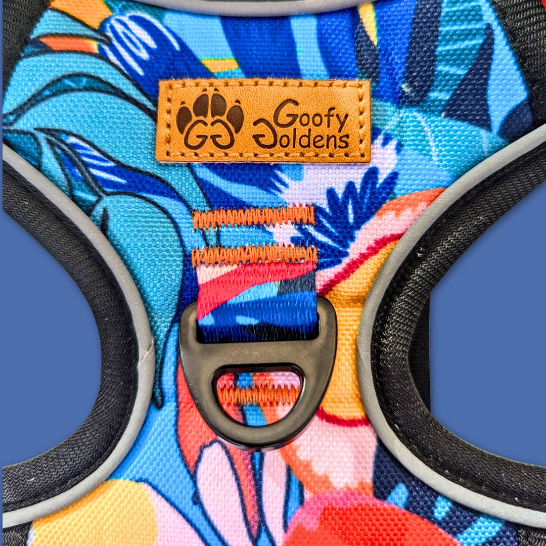 Zoom sur l'anneau en D solide au dos du harnais pour chein Lagon de la marque Goofy Goldens