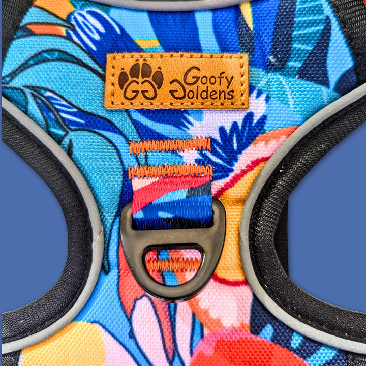 Zoom sur l'anneau en D solide au dos du harnais pour chein Lagon de la marque Goofy Goldens