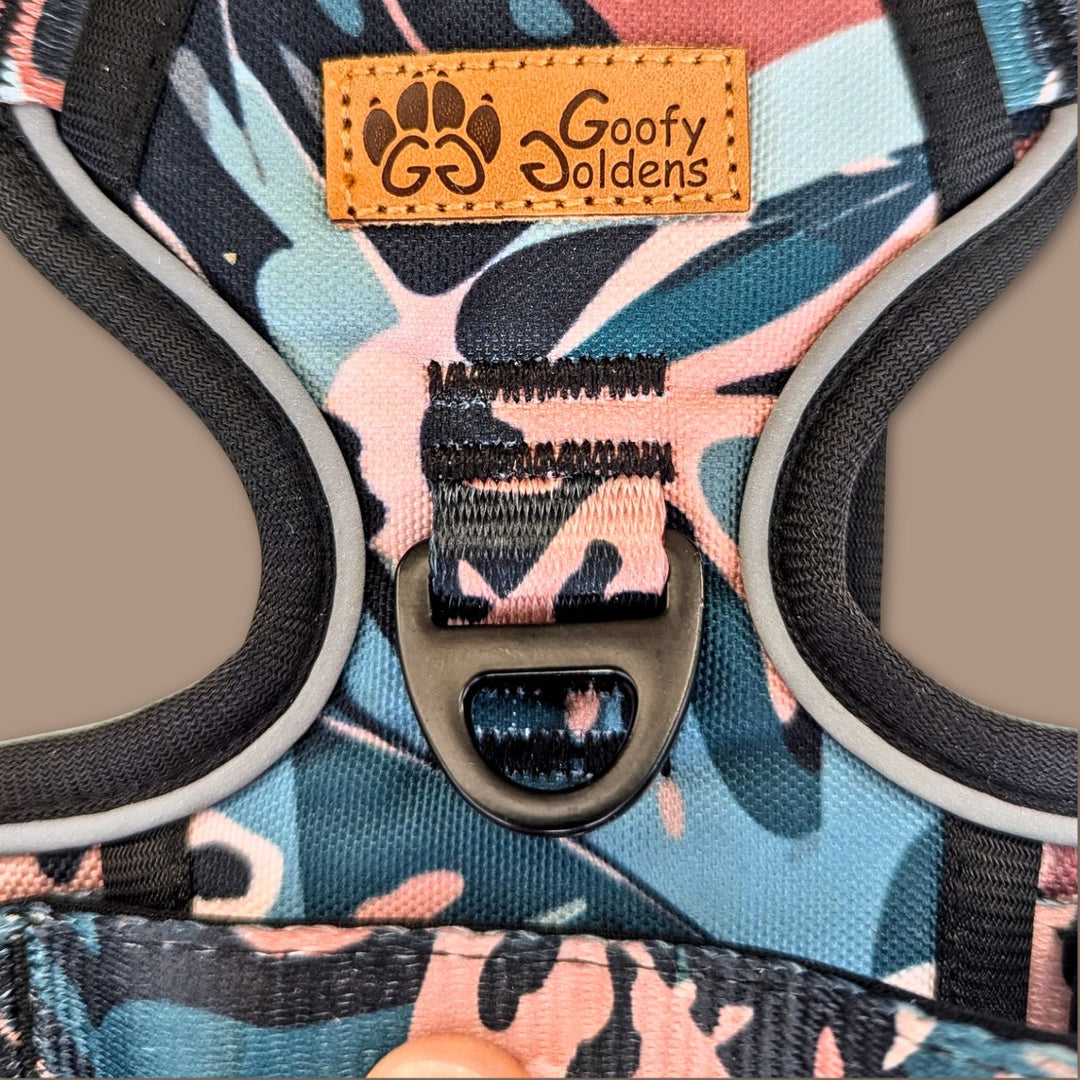 Gros plan sur l'anneau en D du haranis anti-traction Savane de la marque Goofy-Goldens