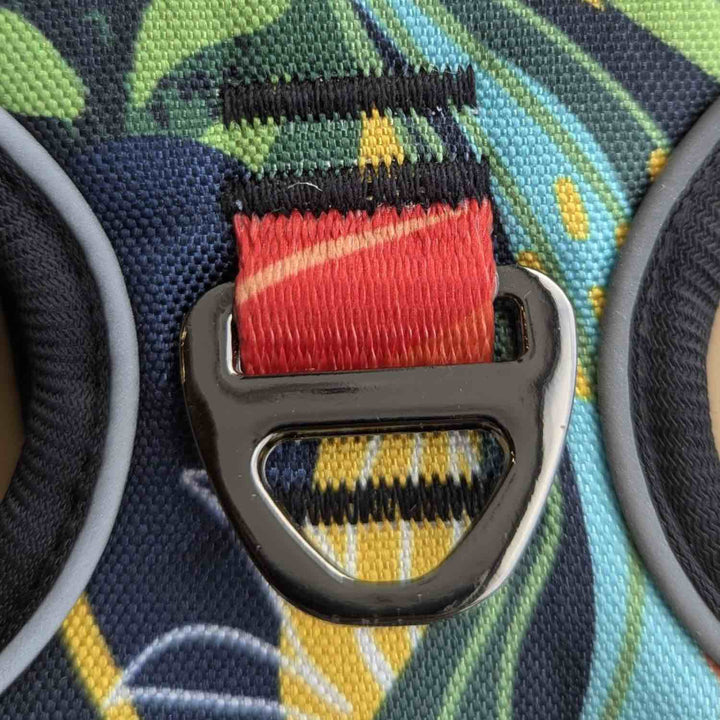 Anneau en D solide servant à attacher la laisse du chien au dos du harnais tendance de la gamme Tropical 