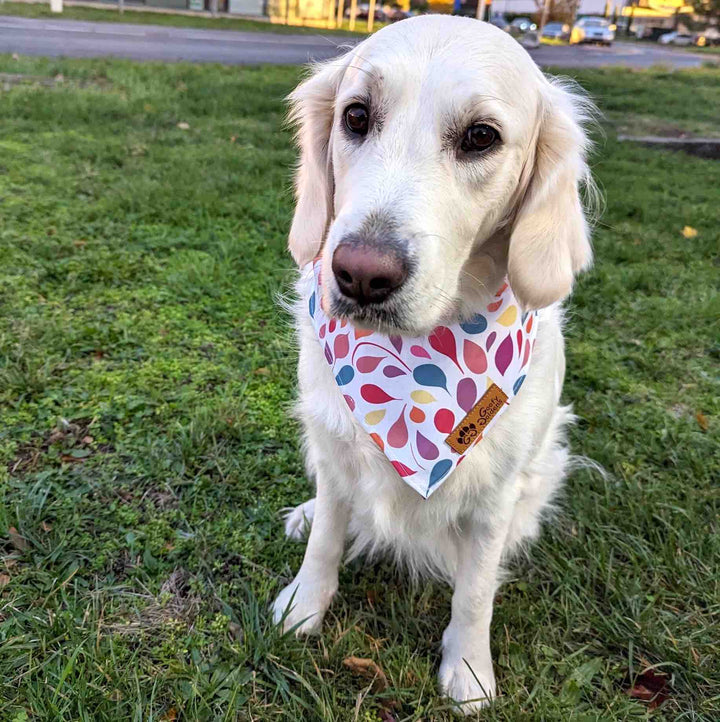 Bandana pour chien Pétales