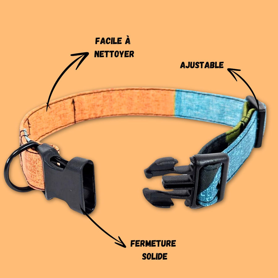 Collier tissu coloré et solide pour chien de la gamme summer. les couleurs éclatantes bleu orange et verte rappellent l'été