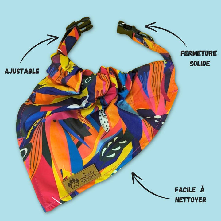Caractéristiques du collier bandana panache pour chien, on voit ici qu'il est ajustable, facile à nettoyer avec une fermeture solide