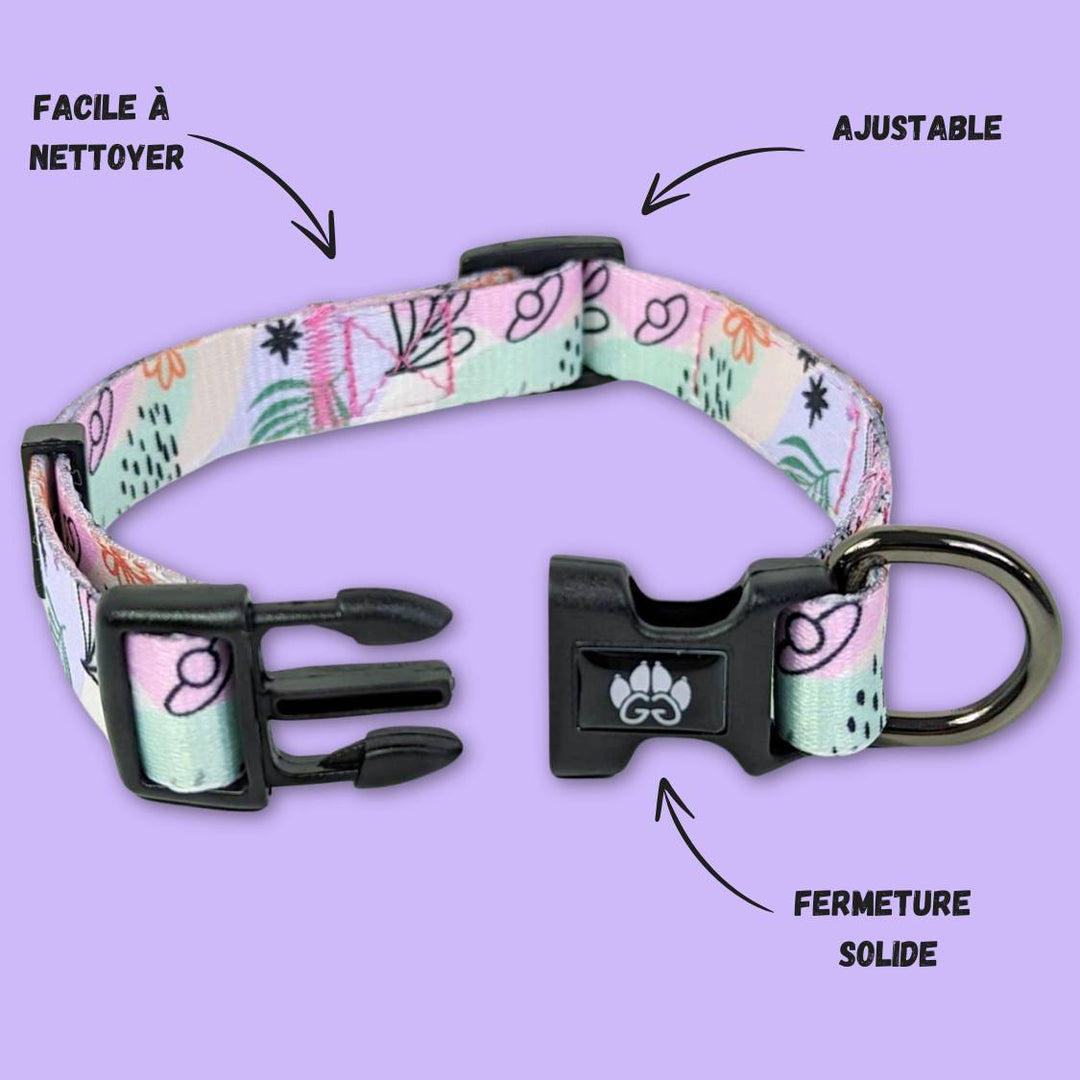 Collier coloré et robuste pour chien pastel représenté ouvert sur la photo pour montrer la boucle de fermeture