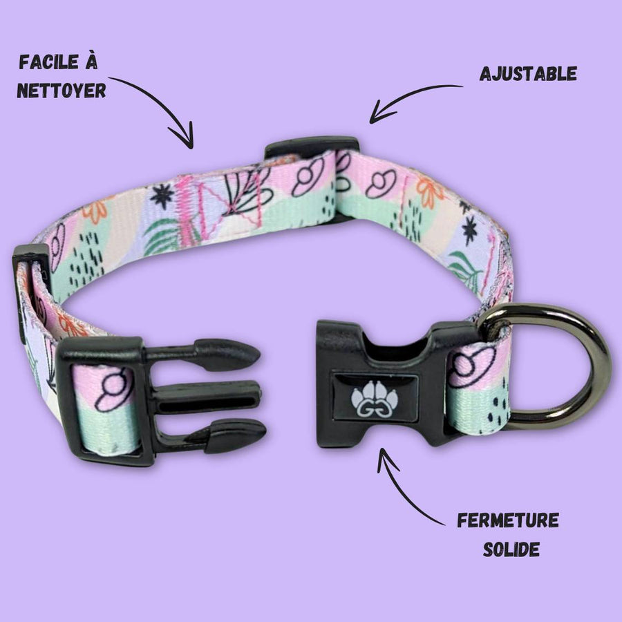 Collier coloré et robuste pour chien pastel représenté ouvert sur la photo pour montrer la boucle de fermeture