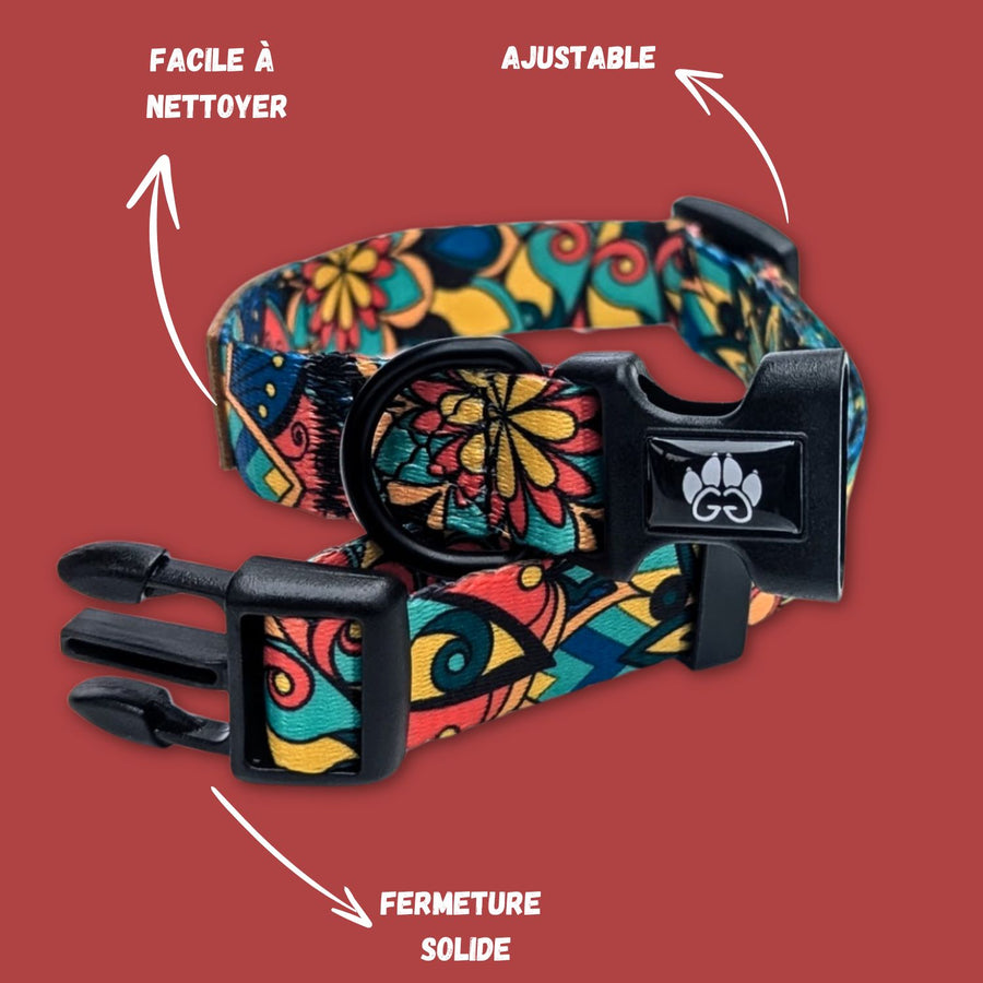 Collier de la marque Goofy-Goldens ,  présenté en gros plan. Il est réglable, facile à nettoyer, doté d’une attache solide.