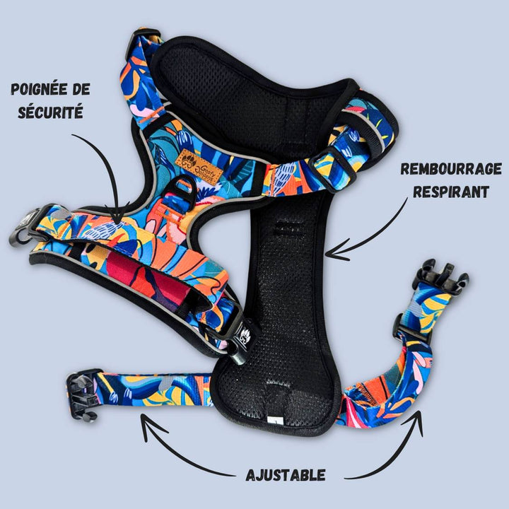 Harnais anti-traction de la collection Lagon ouvert. La photo permet de voir le rembourrage intérieur du harnais qui assure le confort du chien