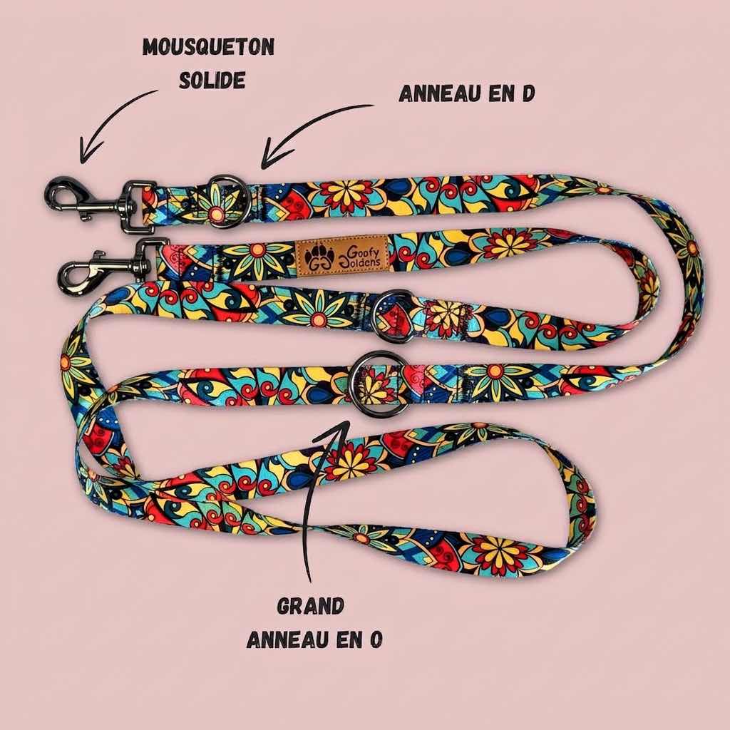 Laisse multiposition de la marque Goofy Goldens aux couleurs vertes, rouges, jaunes et bleues,équipée de deux grands anneaux en D, d'un anneau en O, ainsi que de deux mousquetons.