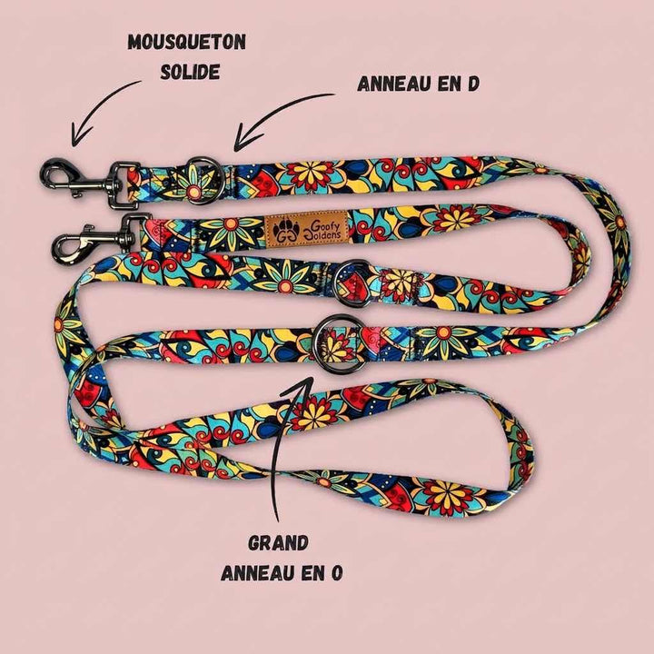 Laisse multiposition de la marque Goofy Goldens aux couleurs vertes, rouges, jaunes et bleues,équipée de deux grands anneaux en D, d'un anneau en O, ainsi que de deux mousquetons.